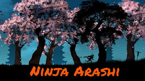 game pic for Ninja Arashi